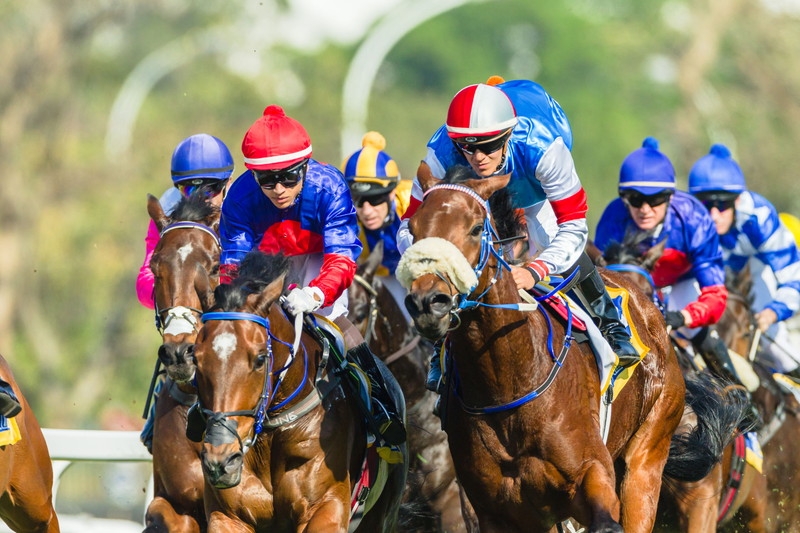 競馬 ストレートレース